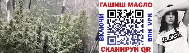 Дистиллят ТГК концентрат  Кохма 