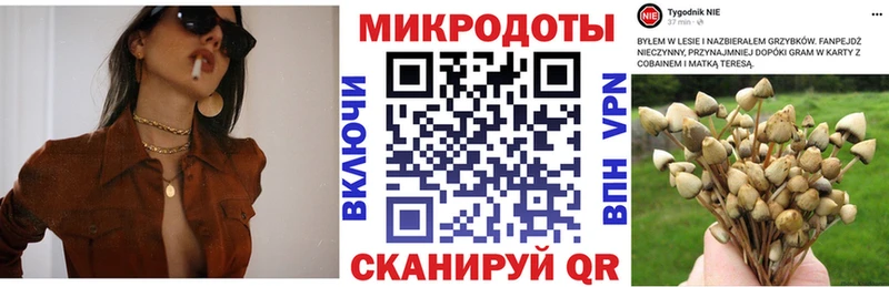 где найти наркотики  гидра рабочий сайт  Псилоцибиновые грибы Psilocybe  Кохма 